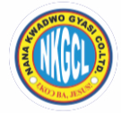 Nana K. Gyasi